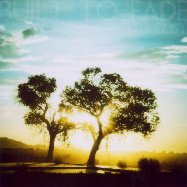 Built to Fade photo