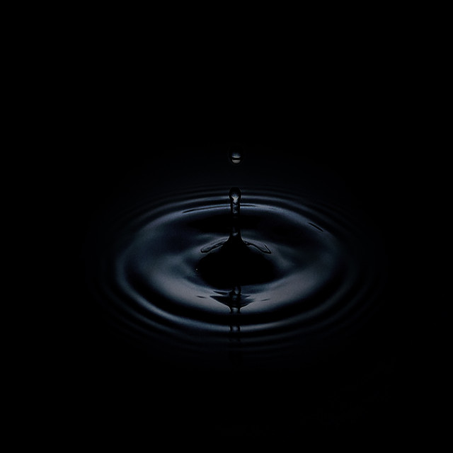 Palirroia cover