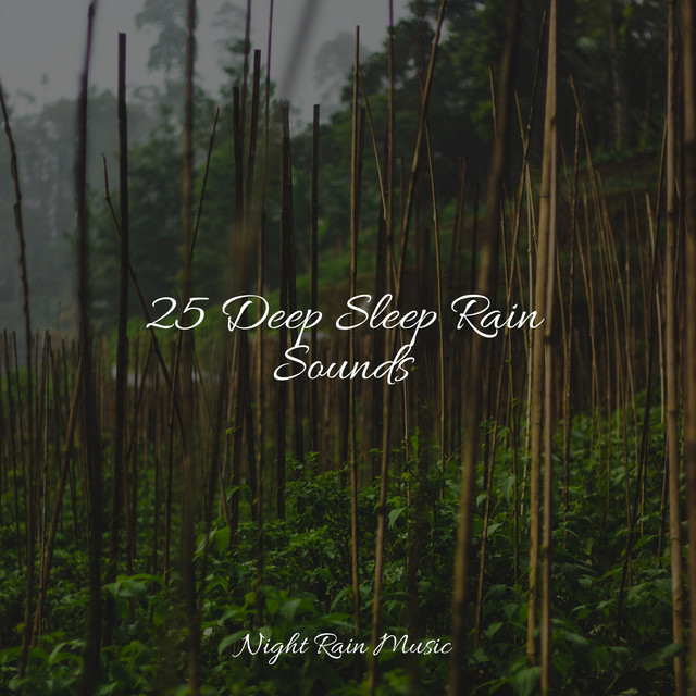 25 Deep Sleep Rain Sounds - Album by Massage Music | Spotify