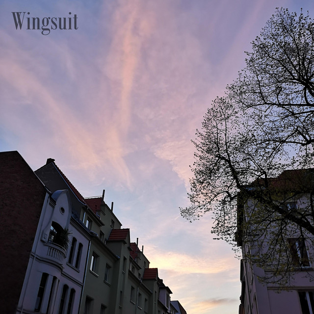 Wingsuit cover art