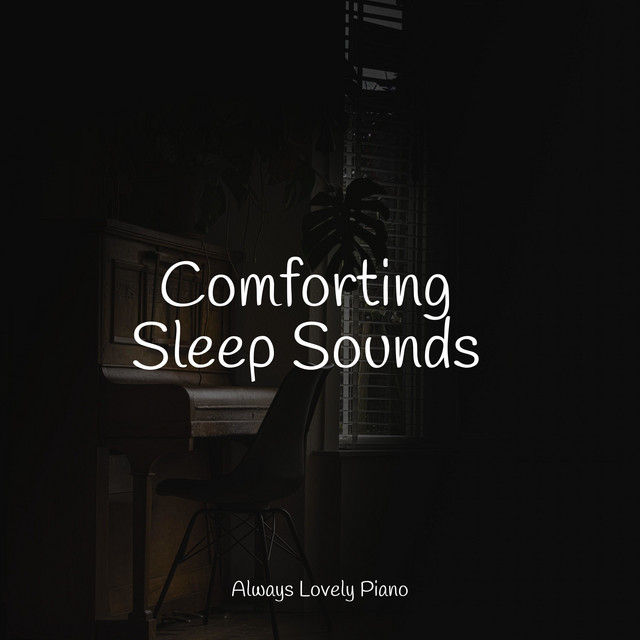 Comforting Sleep Sounds - Album by Relajante Música de Piano Oasis ...