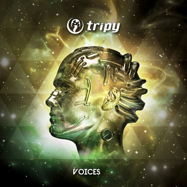 Voices cover art