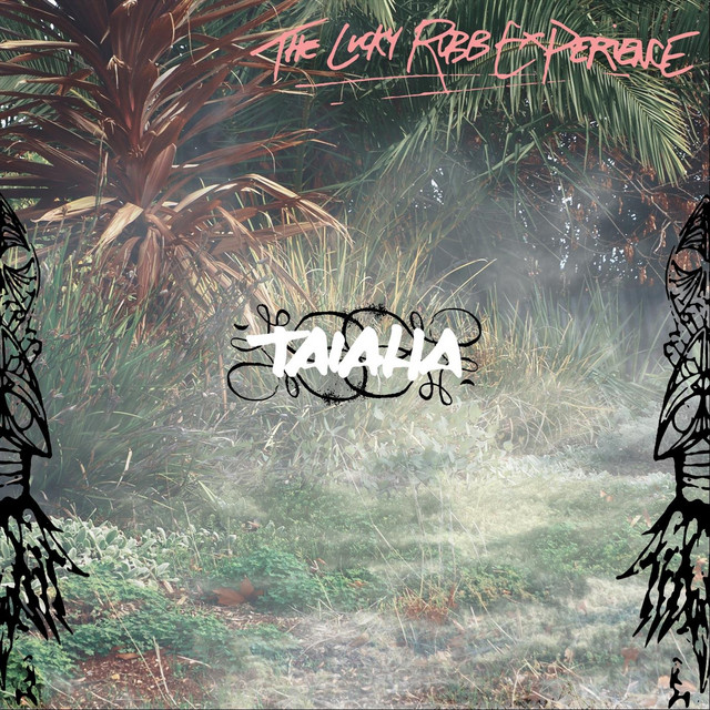 The Lucky Rubb Experience cover art