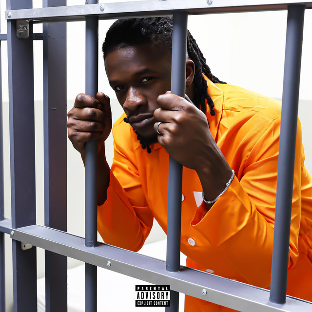Document 79 cover
