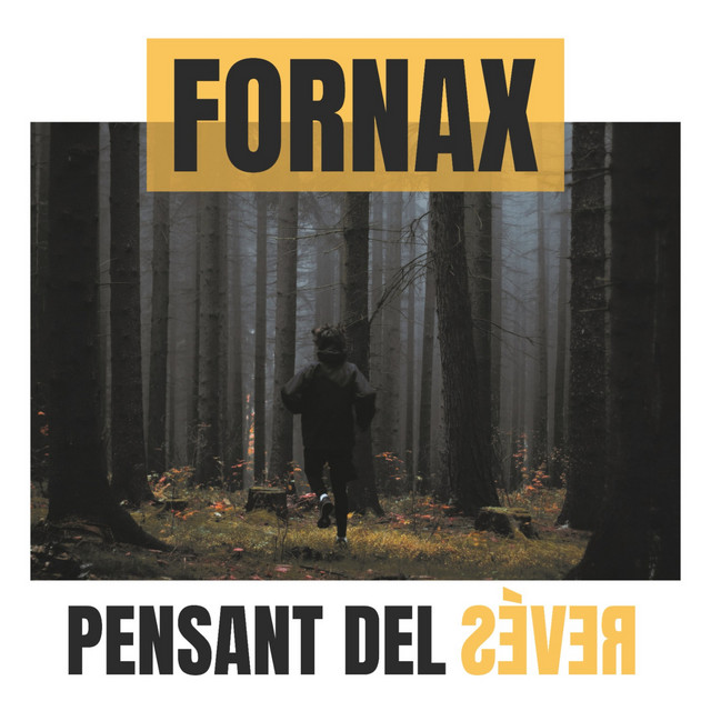 Pensant del revés cover