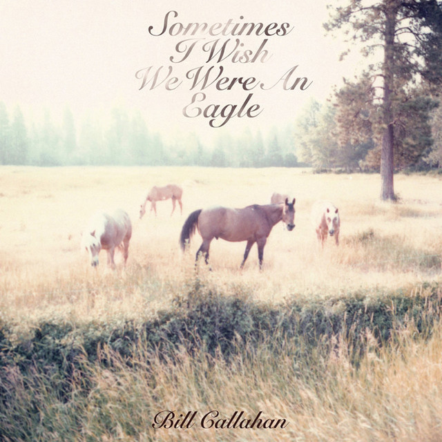 Sometimes I Wish We Were An Eagle cover art