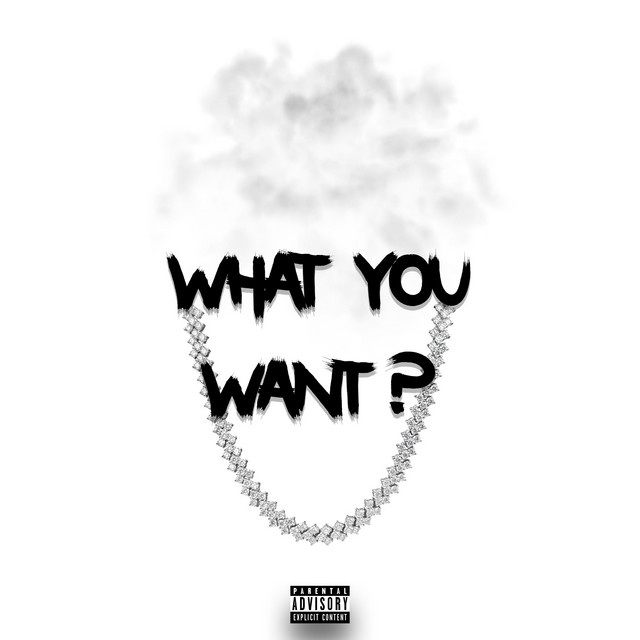 What You Want cover