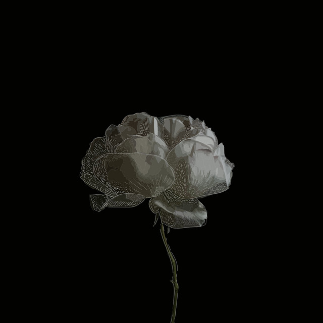 Shadow and Light cover art