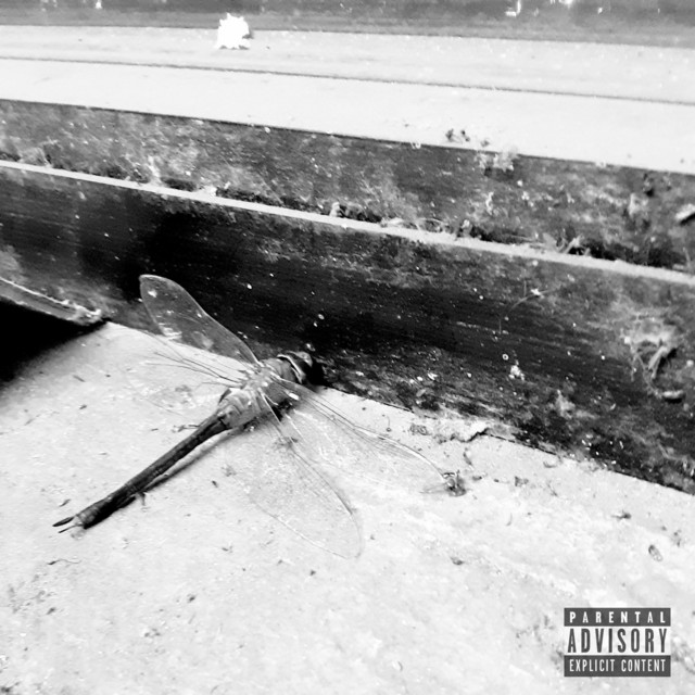 Killjoy cover art