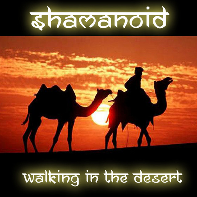 Walking in the Desert cover