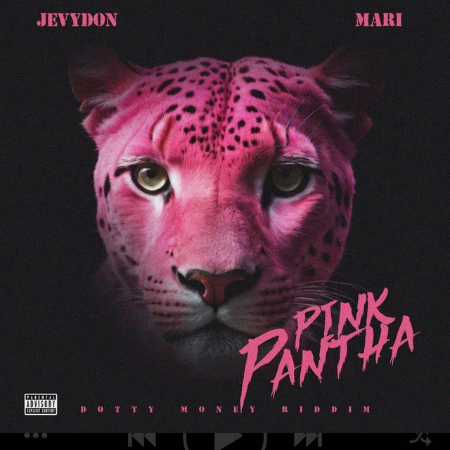 Pink Panther (Dutty Money Riddim) cover art