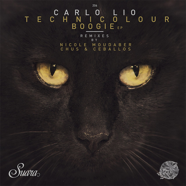 Technicolour Boogie - Chus & Ceballos Remix cover art