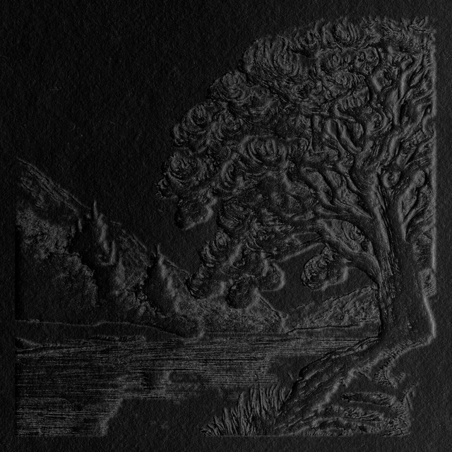 The Nature of Patience cover