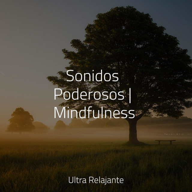 Sonidos Poderosos | Mindfulness - Album by Meditación | Spotify