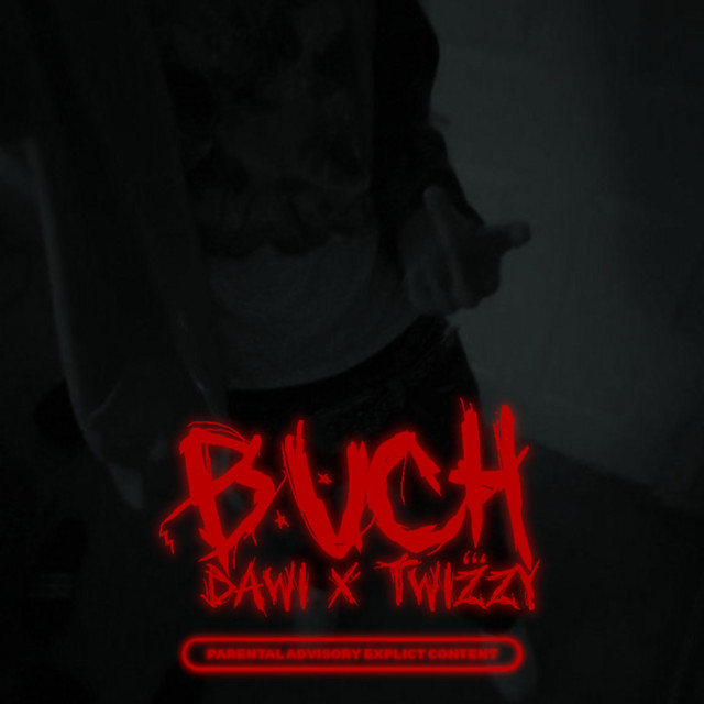 Buch cover art