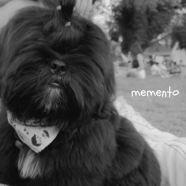 Memento cover