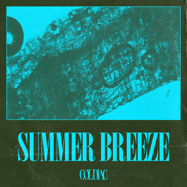 Summer Breeze cover art