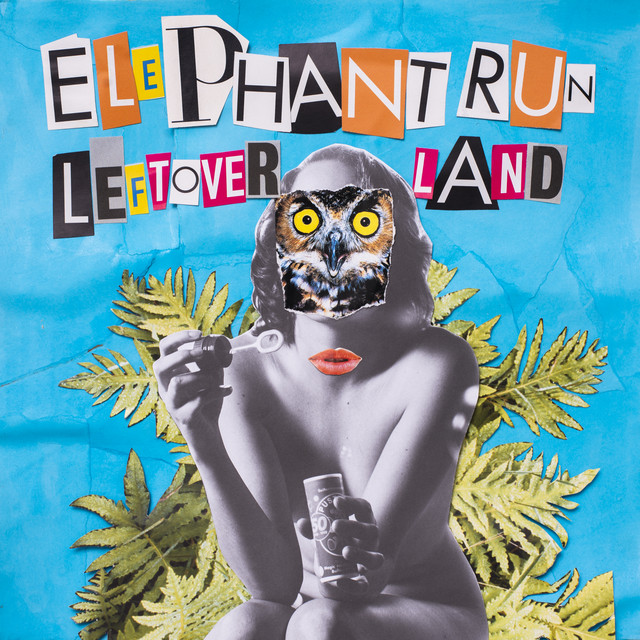 Leftover Land cover art