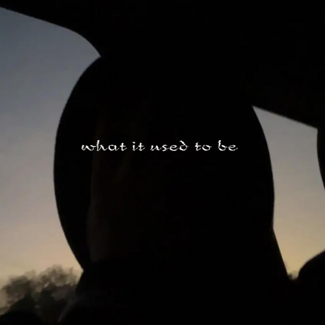 what it used to be cover art