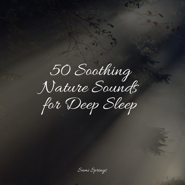 50 Soothing Nature Sounds for Deep Sleep - Album by Pink Noise | Spotify