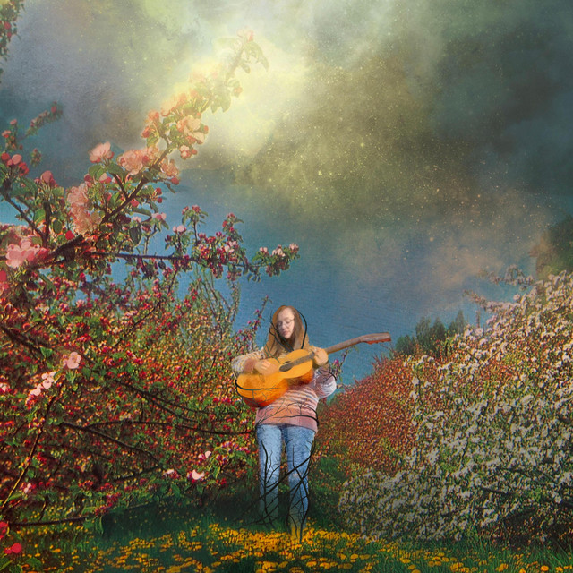 Overgrown - Single by Maple Ward | Spotify
