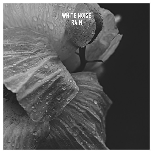 12 White Noise Rain and Nature Sounds Suitable for Spa and Yoga - Album ...