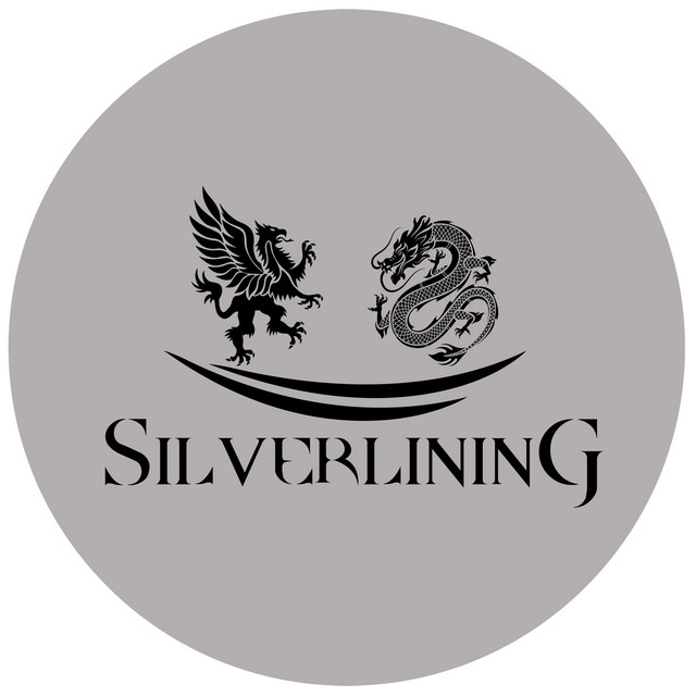 Silverlining EP - EP by silverlining (Shanghai) | Spotify
