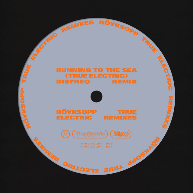 Running to the Sea (True Electric) - Disfreq Remix