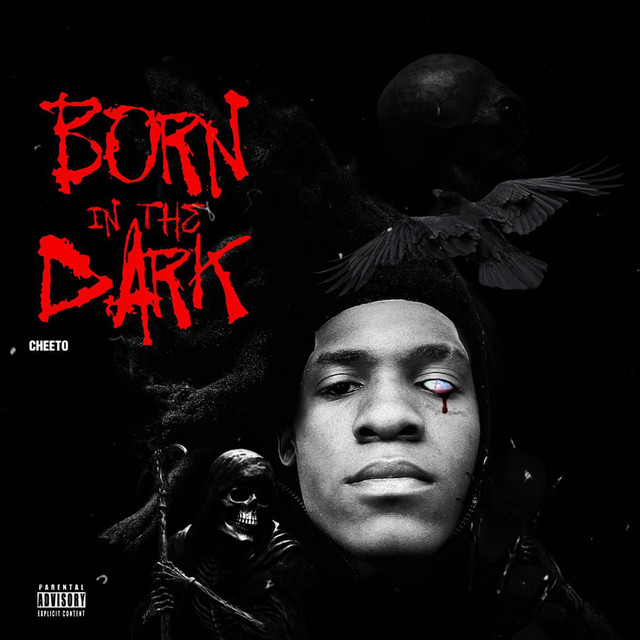 BORN IN THE DARK cover art