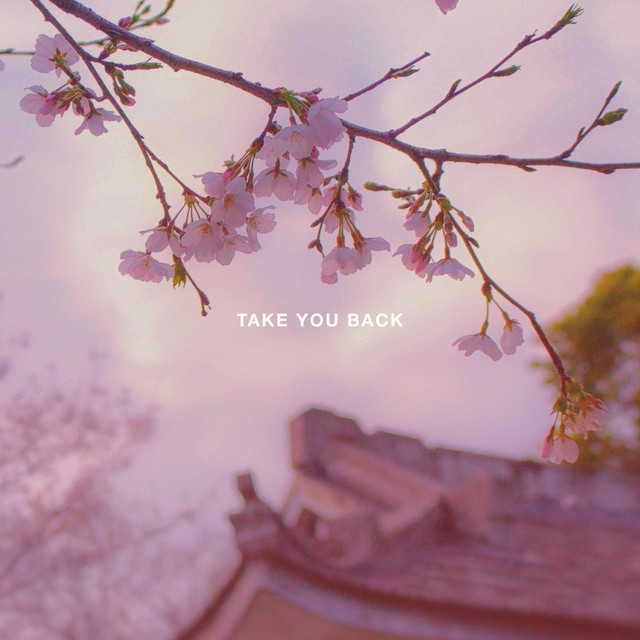 Take You Back cover