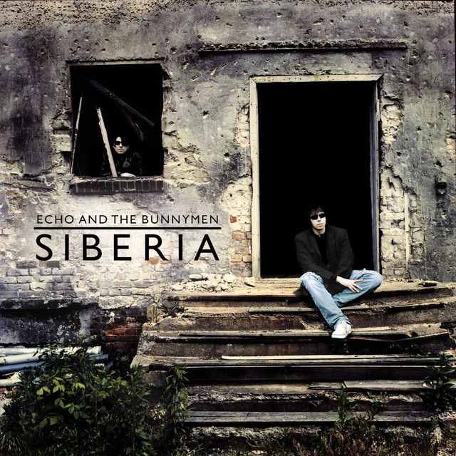Siberia Album By Echo The Bunnymen Spotify