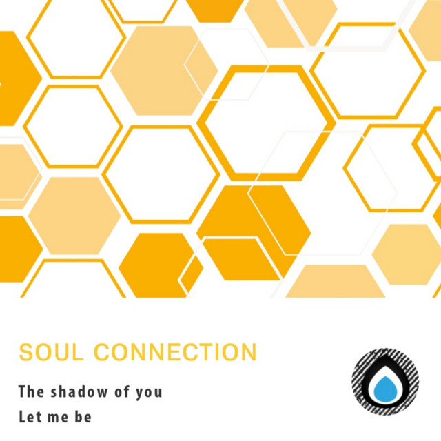 The shadow of you artwork