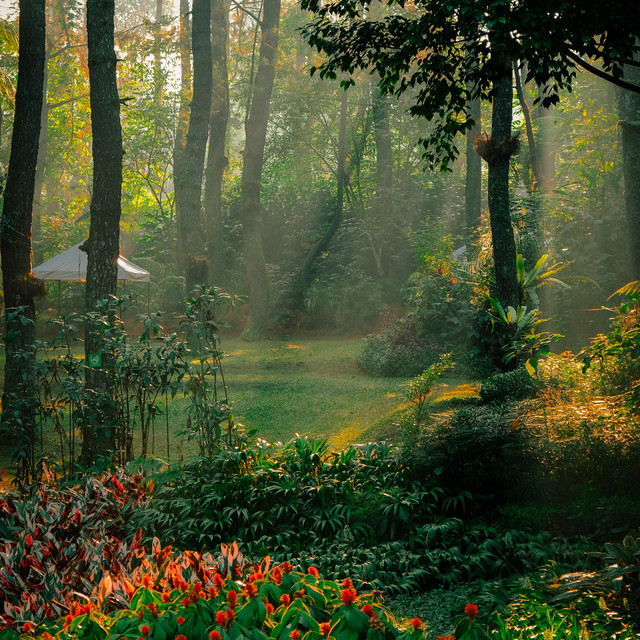 Morning Relaxing Music - Piano Music, Positive Music, Study Music cover art