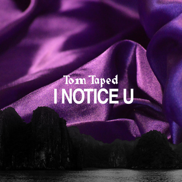 I Notice U cover