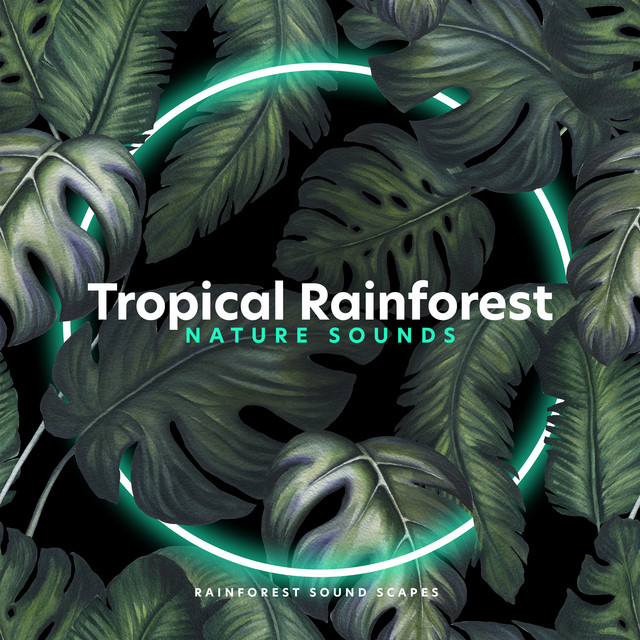 Tropical Rainforest Nature Sounds - Album by Rainforest Sound Scapes ...