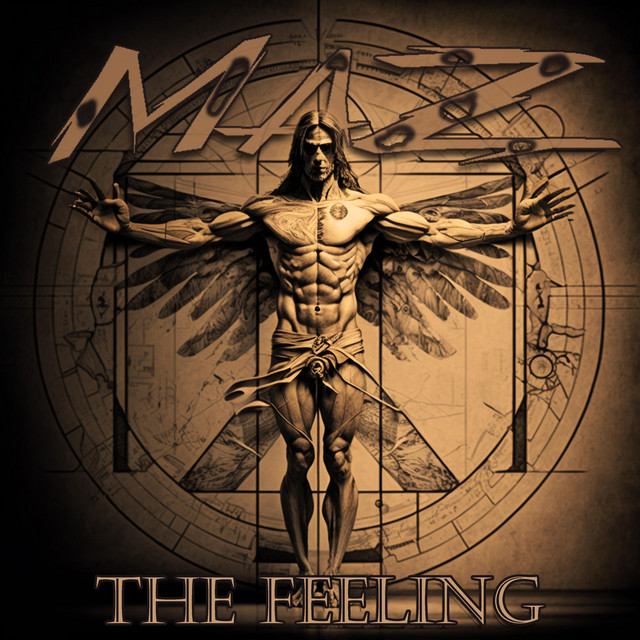 The Feeling cover art