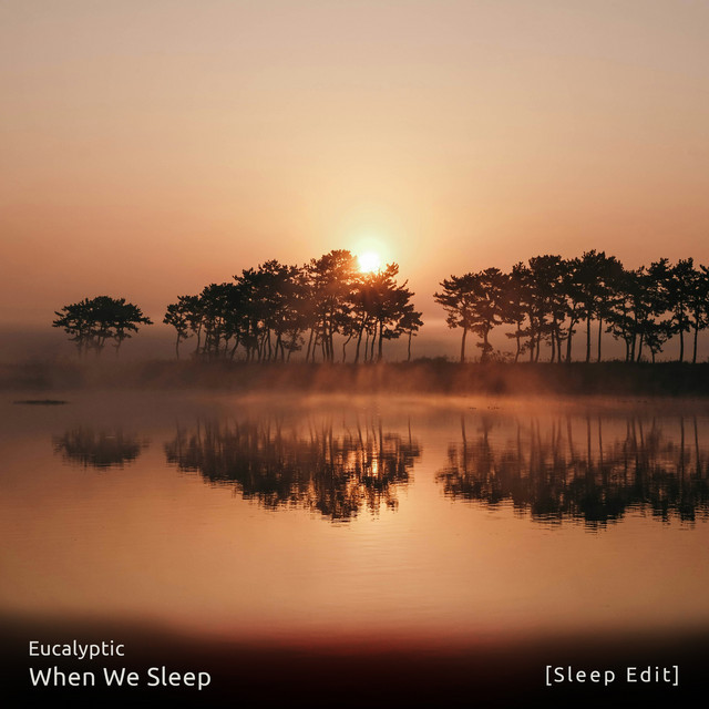 When We Sleep (Sleep Edit) cover art
