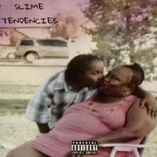 Shrooms cover art
