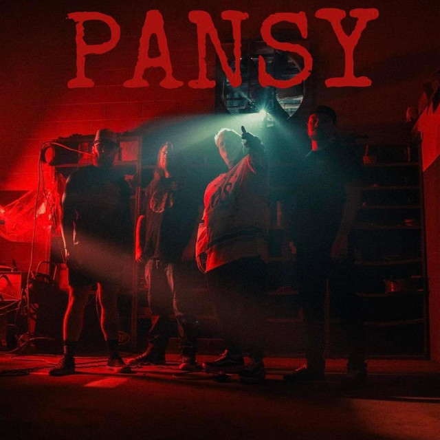 Pansy cover