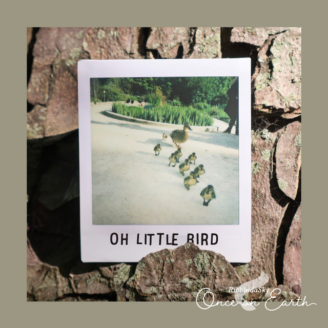 Oh Little Bird