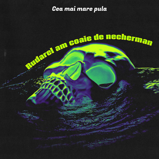 Rudarel am coaie de necherman cover art