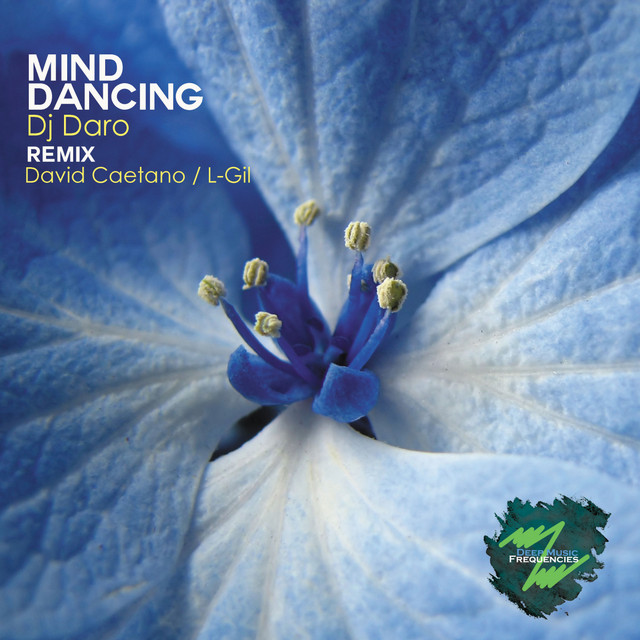 Mind Dancing - L-Gil Remix cover art