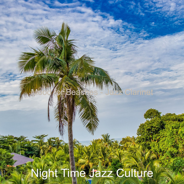 Mood for Beaches - Jazz Clarinet cover art