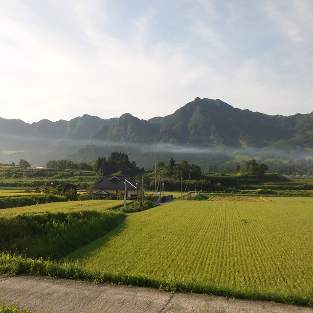 森彰彦 Photo