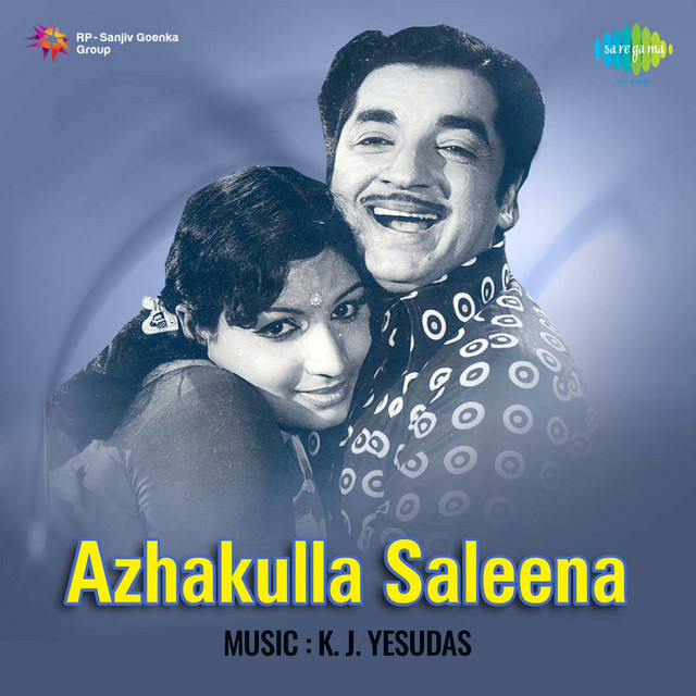 Azhakulla Saleena cover art
