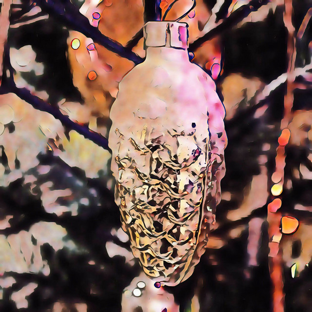 Dizzy Entropy cover art