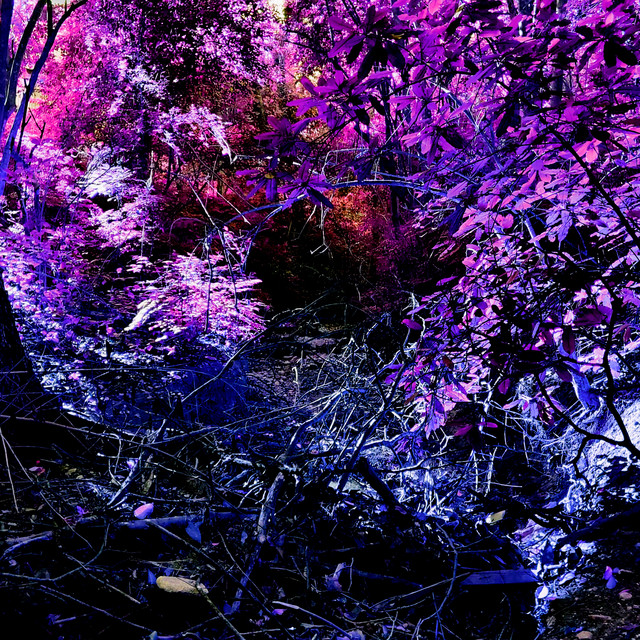 Keep It Cold cover art
