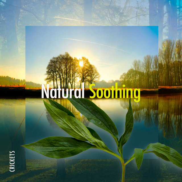 Natural Soothing cover art