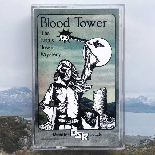 The Erth's Town Mystery cover art