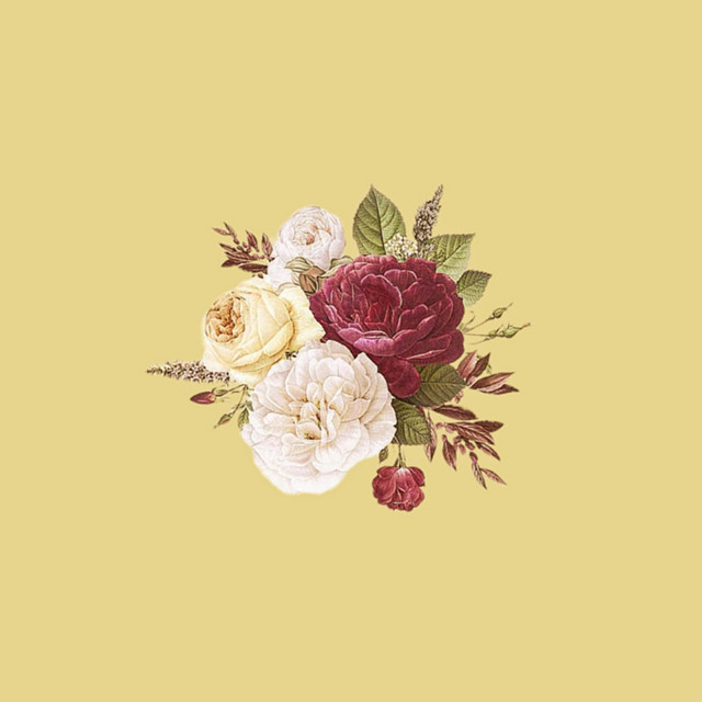 Illusion cover